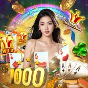 1xcassino