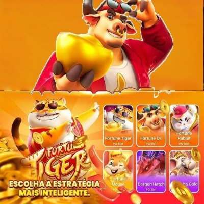 fansbet