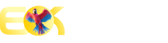 Betsson ab subsidiaries - 700bet